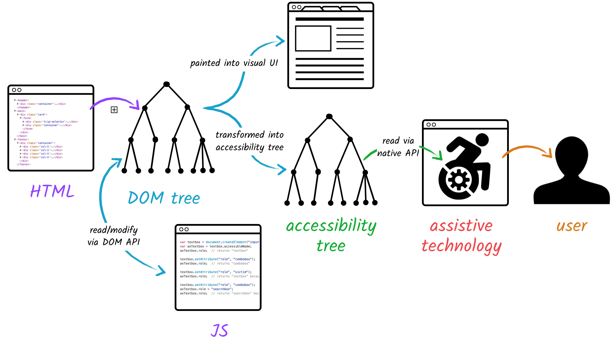 HTML translated into DOM tree translated into visual UI and accessibility tree